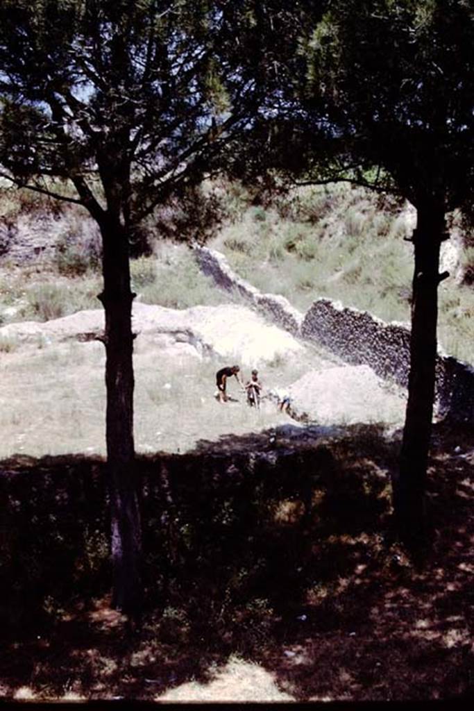 II.5 Pompeii. 1966. Excavations near east wall and south-east corner. Photo by Stanley A. Jashemski.
Source: The Wilhelmina and Stanley A. Jashemski archive in the University of Maryland Library, Special Collections (See collection page) and made available under the Creative Commons Attribution-Non Commercial License v.4. See Licence and use details.
J66f0315