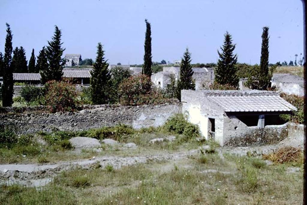 II.5 Pompeii. 1966. West wall near north-west corner. Photo by Stanley A. Jashemski.
Source: The Wilhelmina and Stanley A. Jashemski archive in the University of Maryland Library, Special Collections (See collection page) and made available under the Creative Commons Attribution-Non Commercial License v.4. See Licence and use details.
J66f1121