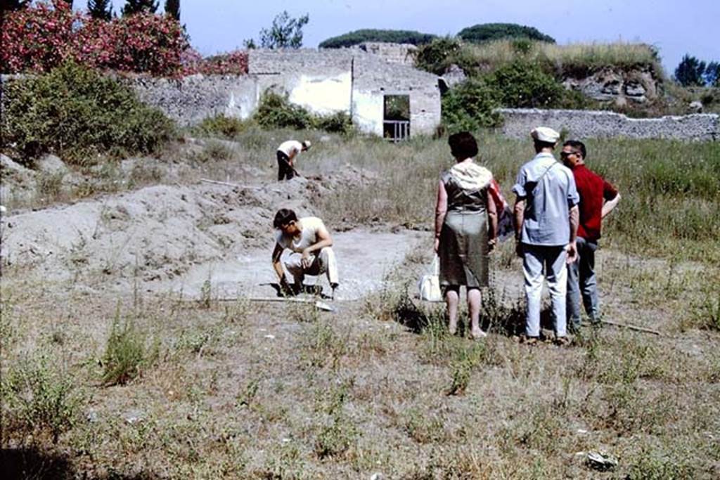 II.5 Pompeii. 1966. Looking north across site. Photo by Stanley A. Jashemski.
Source: The Wilhelmina and Stanley A. Jashemski archive in the University of Maryland Library, Special Collections (See collection page) and made available under the Creative Commons Attribution-Non Commercial License v.4. See Licence and use details.
J66f0371