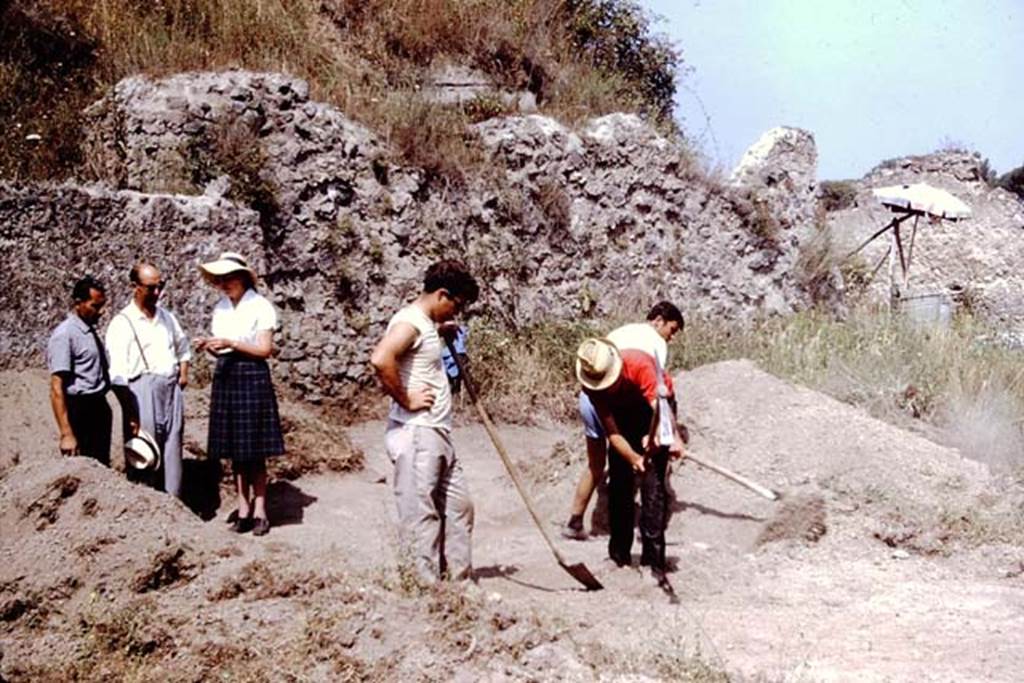 II.5 Pompeii. 1966. Excavating by the east wall of the unexcavated area in the north-west corner of the site. Photo by Stanley A. Jashemski.
Source: The Wilhelmina and Stanley A. Jashemski archive in the University of Maryland Library, Special Collections (See collection page) and made available under the Creative Commons Attribution-Non Commercial License v.4. See Licence and use details.
J66f0397
