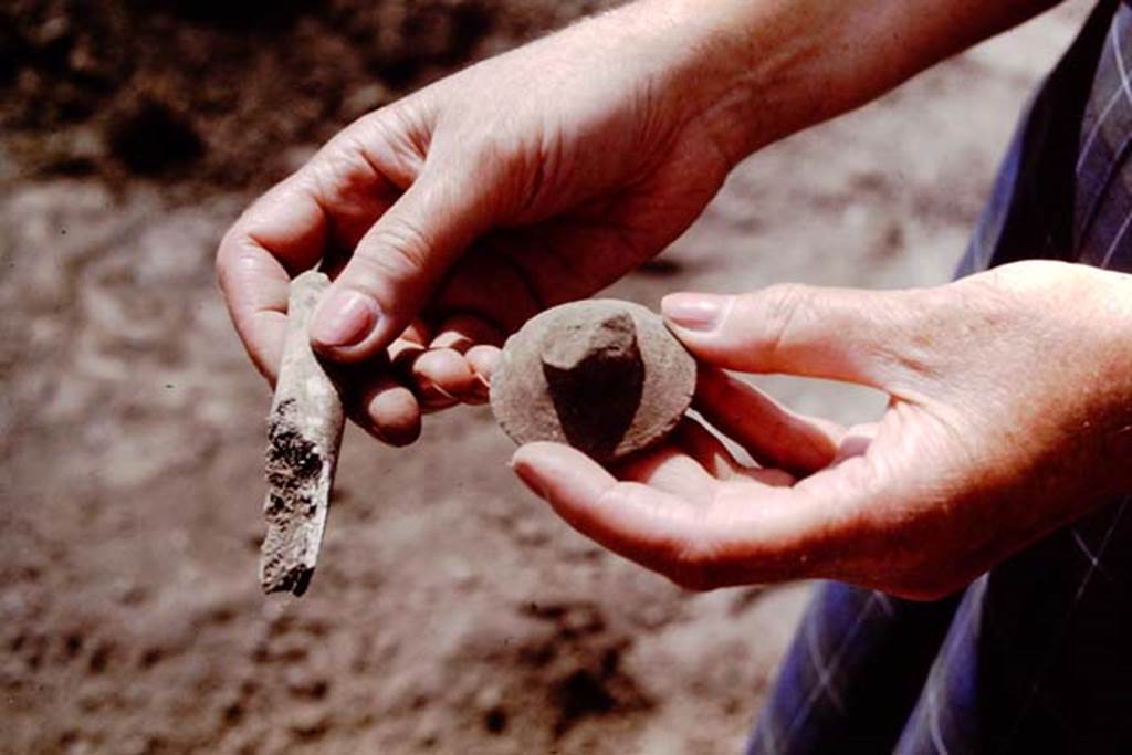 II.5 Pompeii. 1966. Finds. Photo by Stanley A. Jashemski.
Source: The Wilhelmina and Stanley A. Jashemski archive in the University of Maryland Library, Special Collections (See collection page) and made available under the Creative Commons Attribution-Non Commercial License v.4. See Licence and use details.
J66f0398