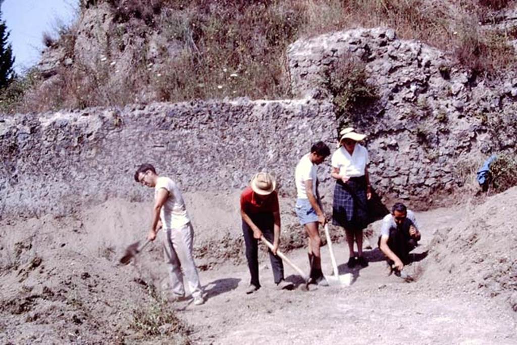 II.5 Pompeii. 1966. Carefully looking for the root cavities, Wilhelmina’s first complete row of small root cavities were found along this east wall. Photo by Stanley A. Jashemski.
Source: The Wilhelmina and Stanley A. Jashemski archive in the University of Maryland Library, Special Collections (See collection page) and made available under the Creative Commons Attribution-Non Commercial License v.4. See Licence and use details.
J66f0435