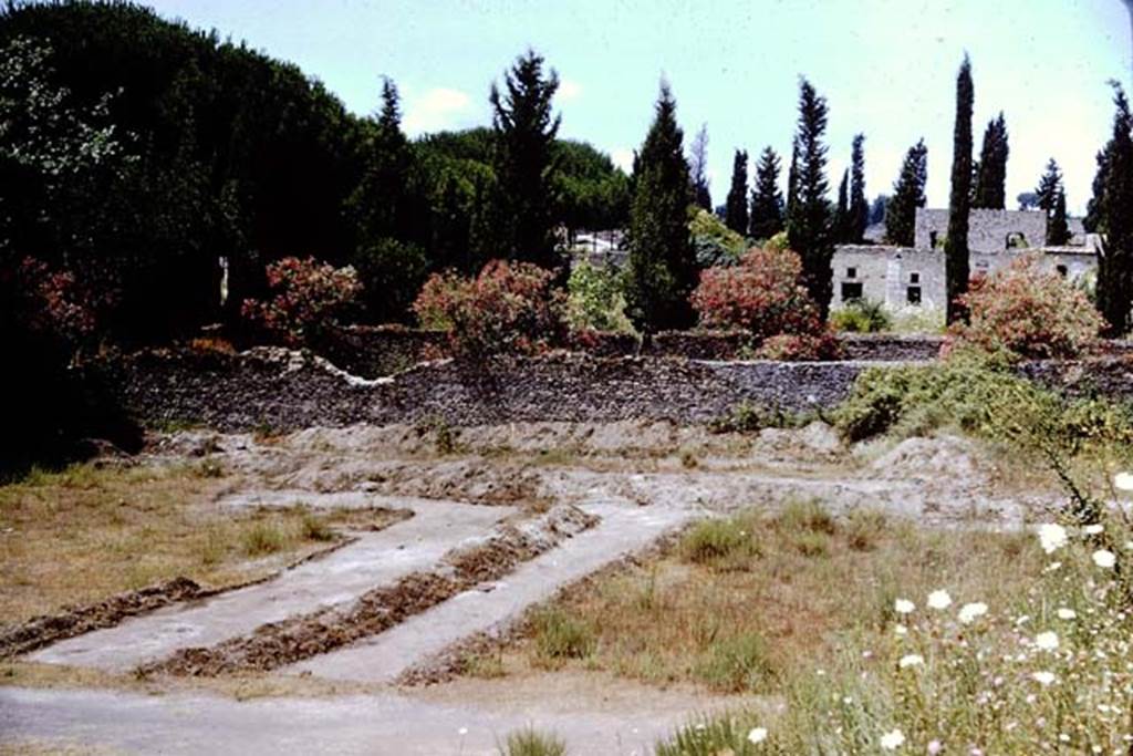 II.5 Pompeii. 1966. Looking towards the west wall, trenches were dug out into the centre of the insula, in line with the root cavities found around the edges. However results were disappointing as the soil was very compacted and nothing was preserved below it. Another trench was tried but only three small root cavities were found, and so it was felt that too much time and money was being spent for the few root cavities that had been found. These roots did not disprove the theory that this had been the cattle-market. Reluctantly Wilhelmina agreed, and temporarily abandoned this site for other gardens. When they had been finished those, she persuaded the authorities to continue with the search here, as nothing else would be as important as proving or disproving the cattle-market theory.
Photo by Stanley A. Jashemski.
Source: The Wilhelmina and Stanley A. Jashemski archive in the University of Maryland Library, Special Collections (See collection page) and made available under the Creative Commons Attribution-Non Commercial License v.4. See Licence and use details.
J66f0606