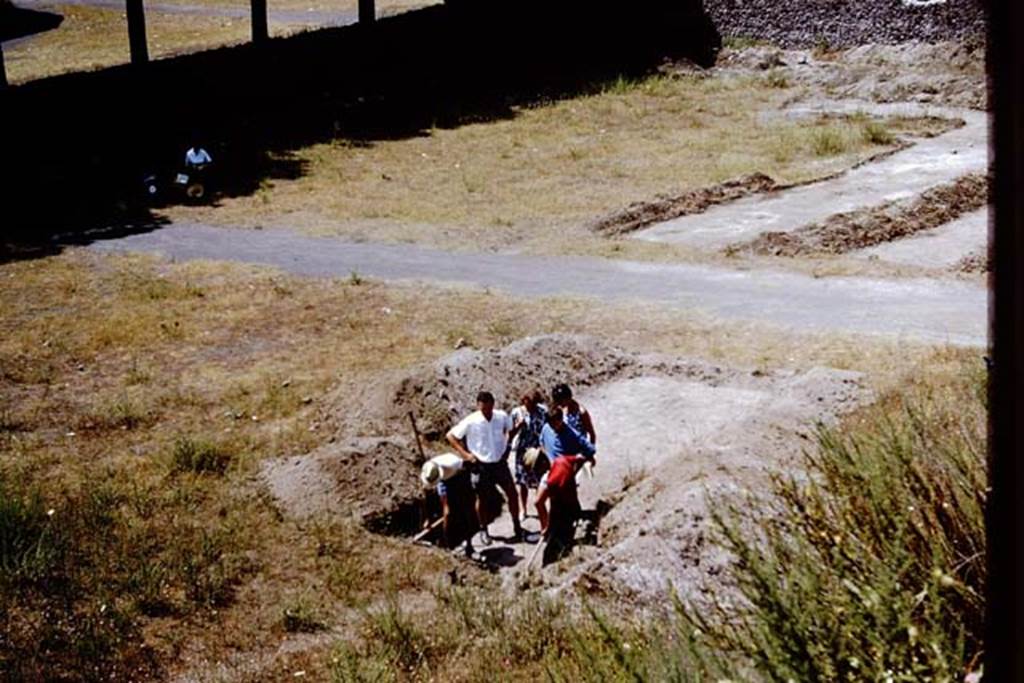 II.5 Pompeii. 1966. In the Pompeii of 1966, it was much easier to get in and around places that are now fenced off and out-of-bounds. There were not as many “Vietato l’accesso” (No-entry) signs around in those days. In the words of Tony Robinson on “Time-Team” we hope these passers-by asked “Can we come into your trench?” Photo by Stanley A. Jashemski.
Source: The Wilhelmina and Stanley A. Jashemski archive in the University of Maryland Library, Special Collections (See collection page) and made available under the Creative Commons Attribution-Non Commercial License v.4. See Licence and use details.
J66f0602