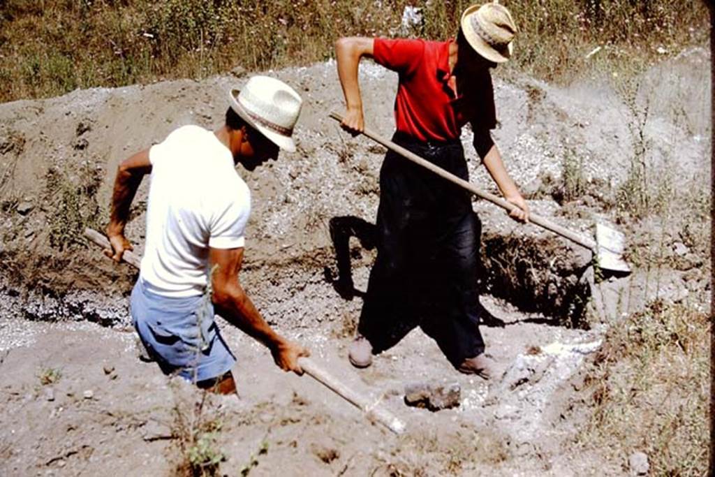 II.5 Pompeii. 1966. Working hard. Photo by Stanley A. Jashemski.
Source: The Wilhelmina and Stanley A. Jashemski archive in the University of Maryland Library, Special Collections (See collection page) and made available under the Creative Commons Attribution-Non Commercial License v.4. See Licence and use details.
J66f0600