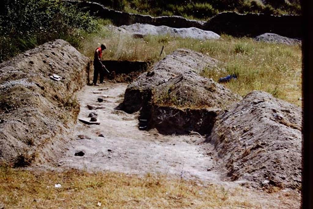 II.5 Pompeii. 1966. Looking east across site. Photo by Stanley A. Jashemski.
Source: The Wilhelmina and Stanley A. Jashemski archive in the University of Maryland Library, Special Collections (See collection page) and made available under the Creative Commons Attribution-Non Commercial License v.4. See Licence and use details.
J66f0615