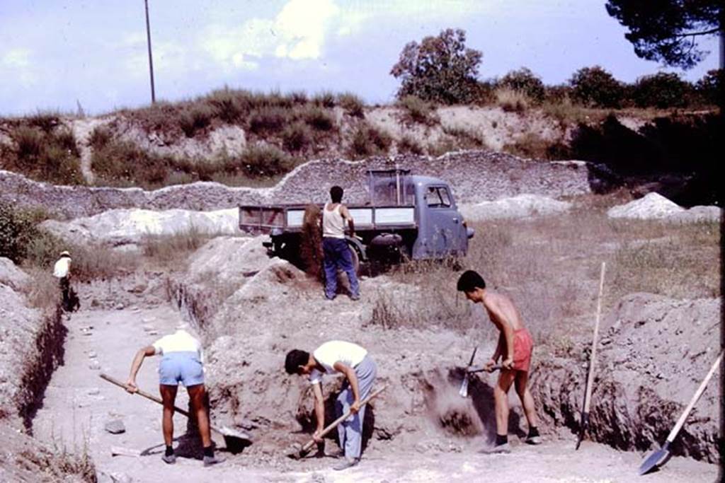 II.5 Pompeii. 1966. Looking east along trench. Photo by Stanley A. Jashemski.
Source: The Wilhelmina and Stanley A. Jashemski archive in the University of Maryland Library, Special Collections (See collection page) and made available under the Creative Commons Attribution-Non Commercial License v.4. See Licence and use details.
J66f0713
