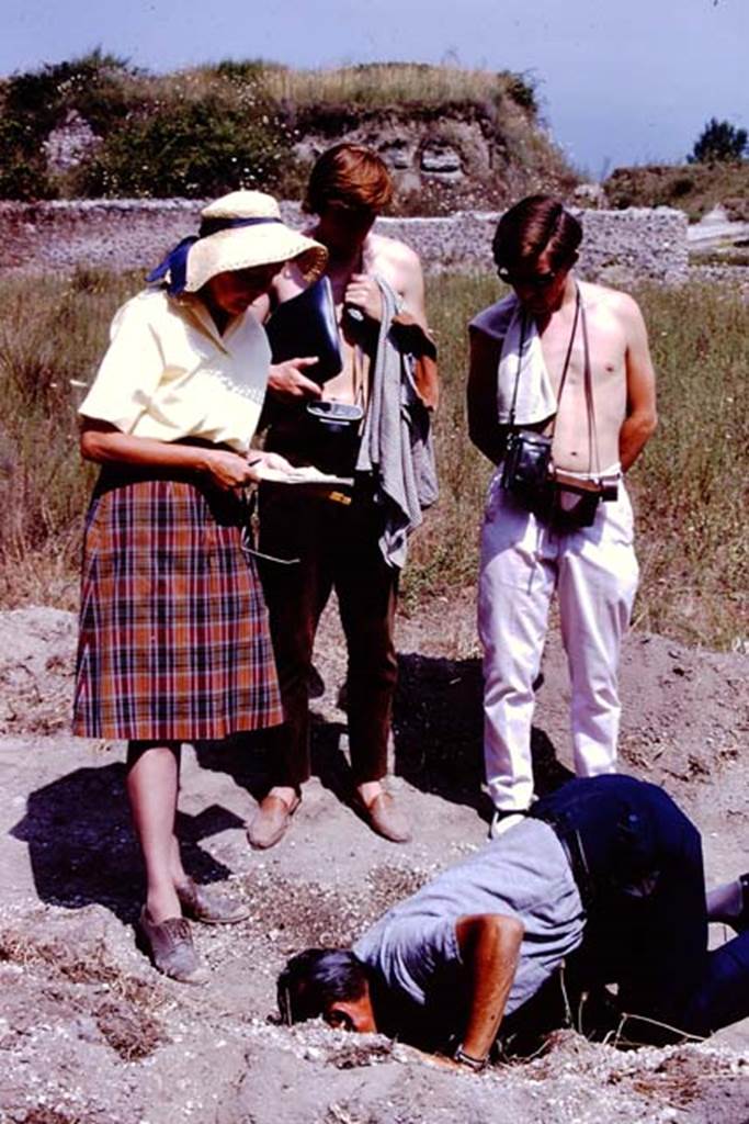 II.5 Pompeii. 1966. Emptying a deep root cavity. Photo by Stanley A. Jashemski.
Source: The Wilhelmina and Stanley A. Jashemski archive in the University of Maryland Library, Special Collections (See collection page) and made available under the Creative Commons Attribution-Non Commercial License v.4. See Licence and use details.
J66f0880
