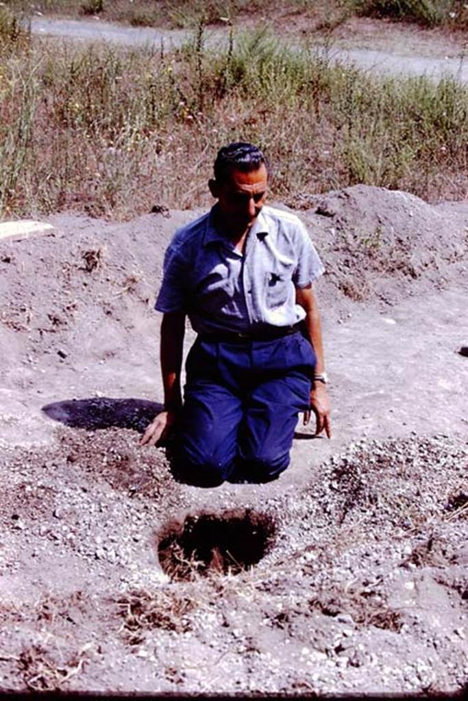 II.5 Pompeii. 1966. Finished at last. Photo by Stanley A. Jashemski.
Source: The Wilhelmina and Stanley A. Jashemski archive in the University of Maryland Library, Special Collections (See collection page) and made available under the Creative Commons Attribution-Non Commercial License v.4. See Licence and use details.
J66f0881