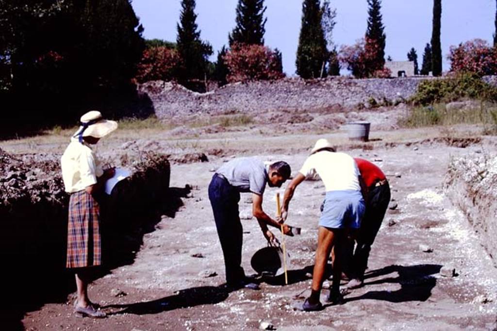 II.5 Pompeii. 1966. Filling the root cavity with the cement. Photo by Stanley A. Jashemski.
Source: The Wilhelmina and Stanley A. Jashemski archive in the University of Maryland Library, Special Collections (See collection page) and made available under the Creative Commons Attribution-Non Commercial License v.4. See Licence and use details.
J66f0865