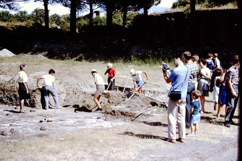 II.5 Pompeii. 1966. Looking south-east. Photo by Stanley A. Jashemski.
Source: The Wilhelmina and Stanley A. Jashemski archive in the University of Maryland Library, Special Collections (See collection page) and made available under the Creative Commons Attribution-Non Commercial License v.4. See Licence and use details.
J66f0761