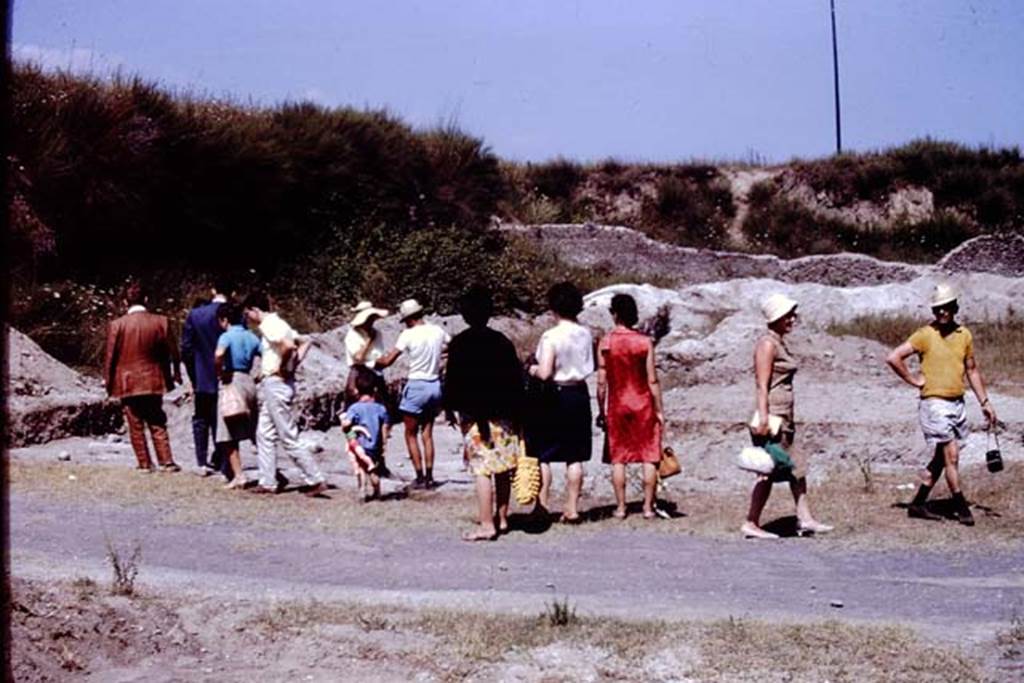 II.5 Pompeii. 1966. Looking north-east. Photo by Stanley A. Jashemski.
Source: The Wilhelmina and Stanley A. Jashemski archive in the University of Maryland Library, Special Collections (See collection page) and made available under the Creative Commons Attribution-Non Commercial License v.4. See Licence and use details.
J66f0922
