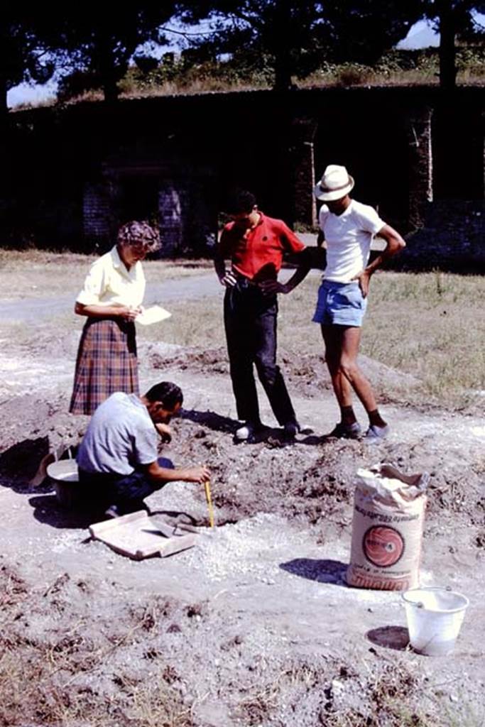 II.5 Pompeii. 1966. Measuring. Photo by Stanley A. Jashemski.
Source: The Wilhelmina and Stanley A. Jashemski archive in the University of Maryland Library, Special Collections (See collection page) and made available under the Creative Commons Attribution-Non Commercial License v.4. See Licence and use details.
J66f0934
