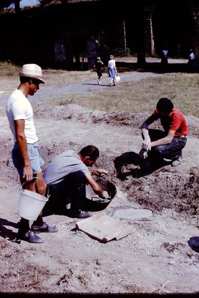 II.5 Pompeii. 1966. Putting the finishing touches to the filled cavity. Photo by Stanley A. Jashemski.
Source: The Wilhelmina and Stanley A. Jashemski archive in the University of Maryland Library, Special Collections (See collection page) and made available under the Creative Commons Attribution-Non Commercial License v.4. See Licence and use details.
J66f0941