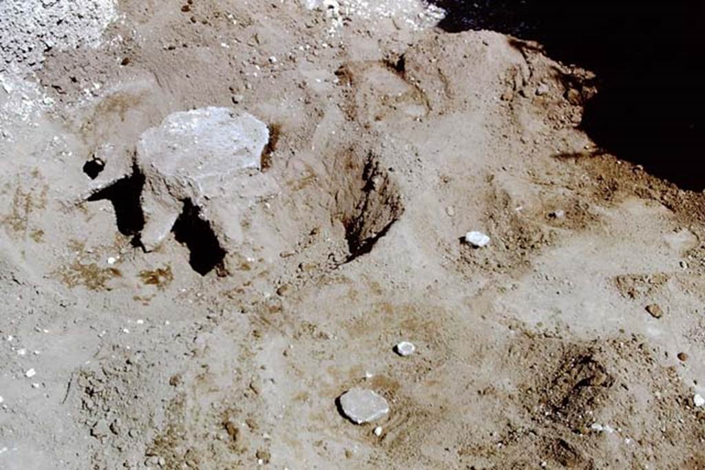 II.5 Pompeii. 1966. After allowing the cement to dry for 3 days, the soil is removed from around the cast of a tree-root. Photo by Stanley A. Jashemski.
Source: The Wilhelmina and Stanley A. Jashemski archive in the University of Maryland Library, Special Collections (See collection page) and made available under the Creative Commons Attribution-Non Commercial License v.4. See Licence and use details.
J66f1125