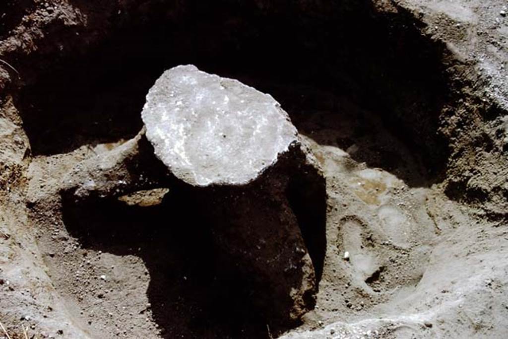 II.5 Pompeii. 1966. Cleaned cast of tree-root cavity. Photo by Stanley A. Jashemski.
Source: The Wilhelmina and Stanley A. Jashemski archive in the University of Maryland Library, Special Collections (See collection page) and made available under the Creative Commons Attribution-Non Commercial License v.4. See Licence and use details.
J66f1107