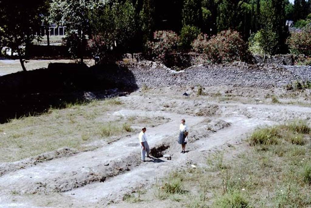 II.5 Pompeii. 1966. South-west corner, and tree-root cavity. Photo by Stanley A. Jashemski.
Source: The Wilhelmina and Stanley A. Jashemski archive in the University of Maryland Library, Special Collections (See collection page) and made available under the Creative Commons Attribution-Non Commercial License v.4. See Licence and use details.
J66f1119