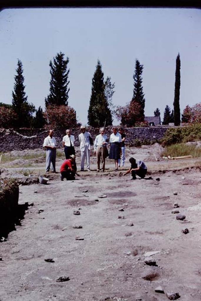 II.5 Pompeii. 1966. Looking west. Each plaster cast covered by a stone to protect them for the next season. Photo by Stanley A. Jashemski.
Source: The Wilhelmina and Stanley A. Jashemski archive in the University of Maryland Library, Special Collections (See collection page) and made available under the Creative Commons Attribution-Non Commercial License v.4. See Licence and use details.
J66f1002