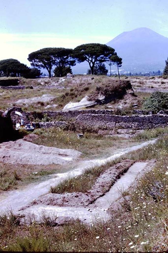 II.5 Pompeii. 1966. Looking north across top of insula and across the Via dell’Abbondanza into III.7. Photo by Stanley A. Jashemski.
Source: The Wilhelmina and Stanley A. Jashemski archive in the University of Maryland Library, Special Collections (See collection page) and made available under the Creative Commons Attribution-Non Commercial License v.4. See Licence and use details.
J66f1092