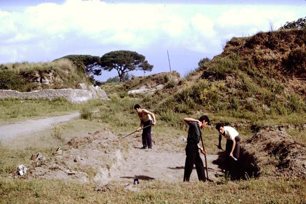 II.5 Pompeii, 1968. Work begins removing weeds and clearing the site. Looking north. Photo by Stanley A. Jashemski.
Source: The Wilhelmina and Stanley A. Jashemski archive in the University of Maryland Library, Special Collections (See collection page) and made available under the Creative Commons Attribution-Non Commercial License v.4. See Licence and use details.
J68f0048