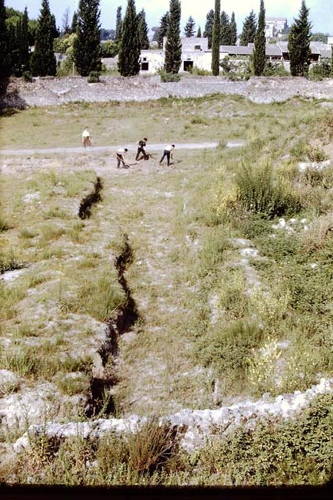 II.5 Pompeii, 1968. Looking west along site of previous trench, now all covered by weeds.
Photo by Stanley A. Jashemski.
Source: The Wilhelmina and Stanley A. Jashemski archive in the University of Maryland Library, Special Collections (See collection page) and made available under the Creative Commons Attribution-Non Commercial License v.4. See Licence and use details.
J68f0051