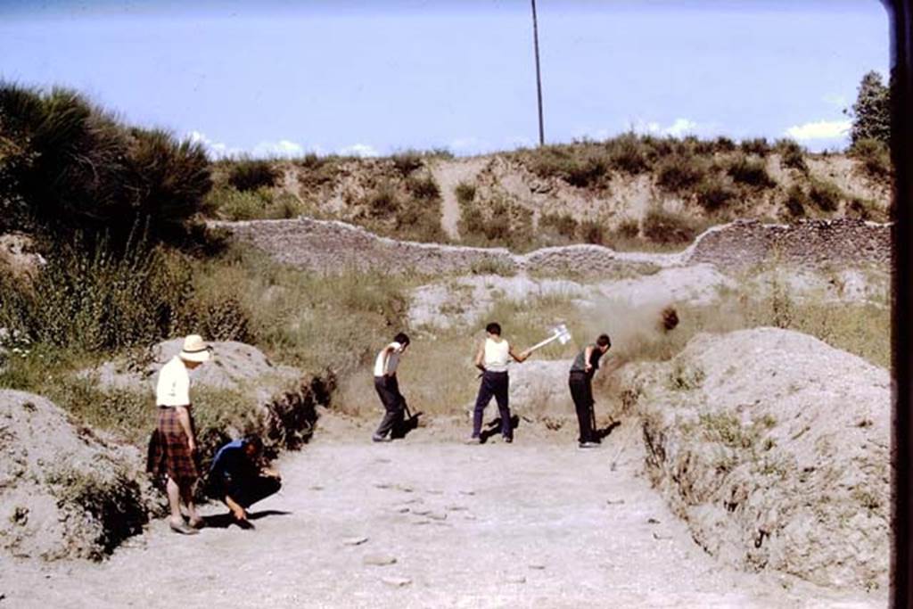 II.5 Pompeii, 1968. Working their way eastwards. Photo by Stanley A. Jashemski.
Source: The Wilhelmina and Stanley A. Jashemski archive in the University of Maryland Library, Special Collections (See collection page) and made available under the Creative Commons Attribution-Non Commercial License v.4. See Licence and use details.
J68f0061