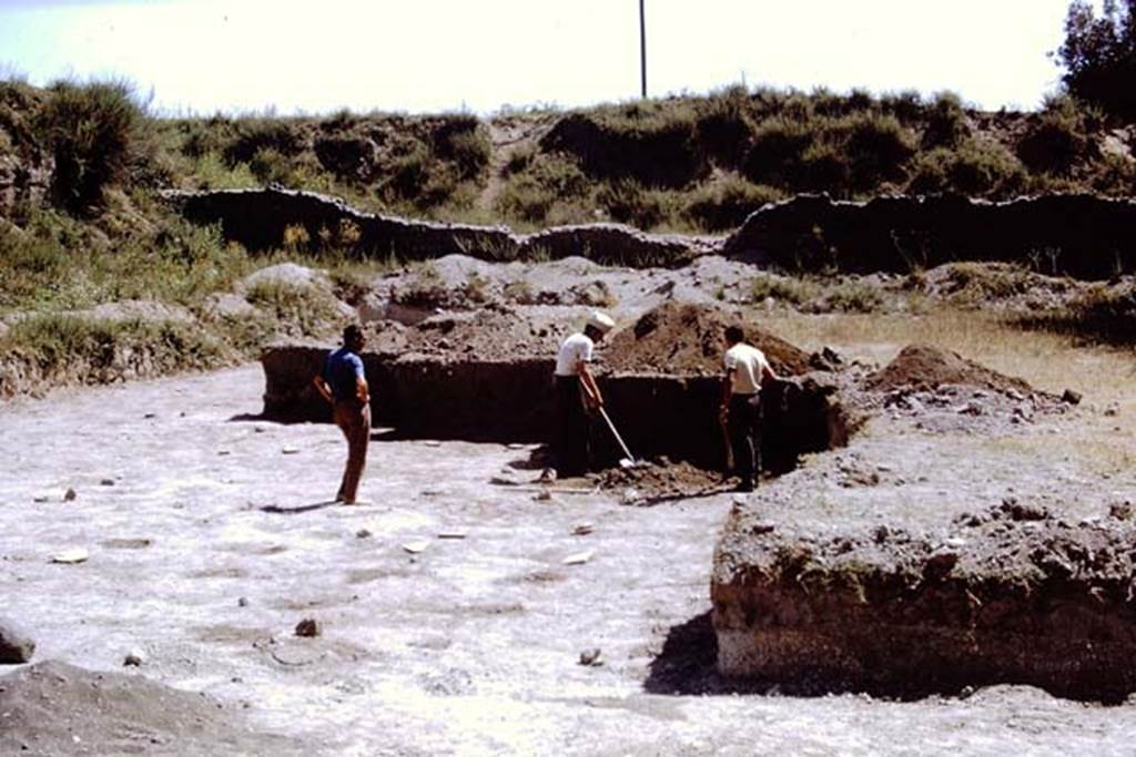 II.5 Pompeii, 1968. Expanding the site on the eastern side. Photo by Stanley A. Jashemski.
Source: The Wilhelmina and Stanley A. Jashemski archive in the University of Maryland Library, Special Collections (See collection page) and made available under the Creative Commons Attribution-Non Commercial License v.4. See Licence and use details.
J68f0317