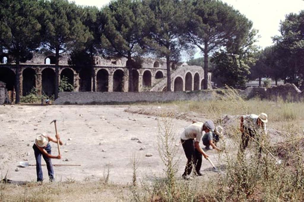 II.5 Pompeii, 1968. Looking south. Photo by Stanley A. Jashemski.
Source: The Wilhelmina and Stanley A. Jashemski archive in the University of Maryland Library, Special Collections (See collection page) and made available under the Creative Commons Attribution-Non Commercial License v.4. See Licence and use details.
J68f0632