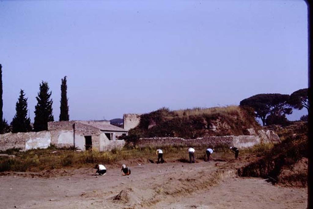 II.5 Pompeii, 1968. Looking north-west. Photo by Stanley A. Jashemski.
Source: The Wilhelmina and Stanley A. Jashemski archive in the University of Maryland Library, Special Collections (See collection page) and made available under the Creative Commons Attribution-Non Commercial License v.4. See Licence and use details.
J68f0554