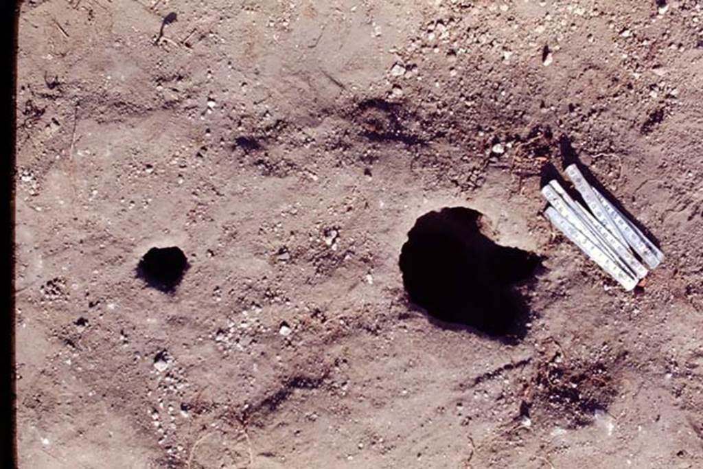 II.5 Pompeii, 1968. Cleaned out root-cavity and hole for stake. Photo by Stanley A. Jashemski.
Source: The Wilhelmina and Stanley A. Jashemski archive in the University of Maryland Library, Special Collections (See collection page) and made available under the Creative Commons Attribution-Non Commercial License v.4. See Licence and use details.
J68f0744