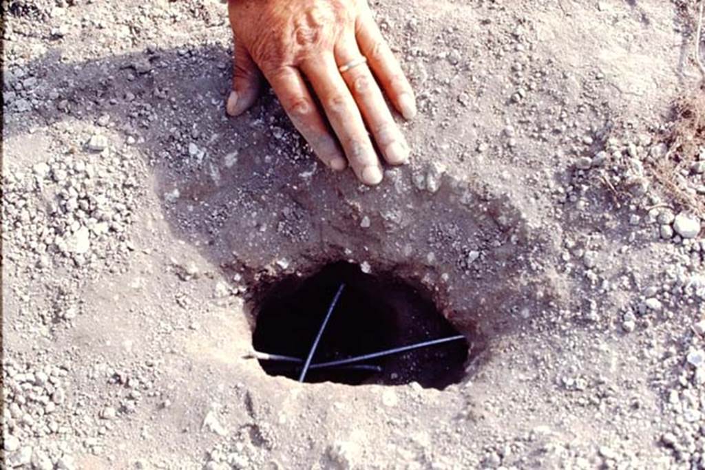 II.5 Pompeii, 1968. Making the cast. Photo by Stanley A. Jashemski.
Source: The Wilhelmina and Stanley A. Jashemski archive in the University of Maryland Library, Special Collections (See collection page) and made available under the Creative Commons Attribution-Non Commercial License v.4. See Licence and use details.
J68f0740