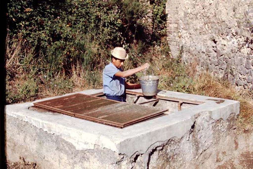 II.5 Pompeii, 1968. Water from the Sarno canal inspection chamber for the cement-mix. Photo by Stanley A. Jashemski.
Source: The Wilhelmina and Stanley A. Jashemski archive in the University of Maryland Library, Special Collections (See collection page) and made available under the Creative Commons Attribution-Non Commercial License v.4. See Licence and use details.
J68f0847