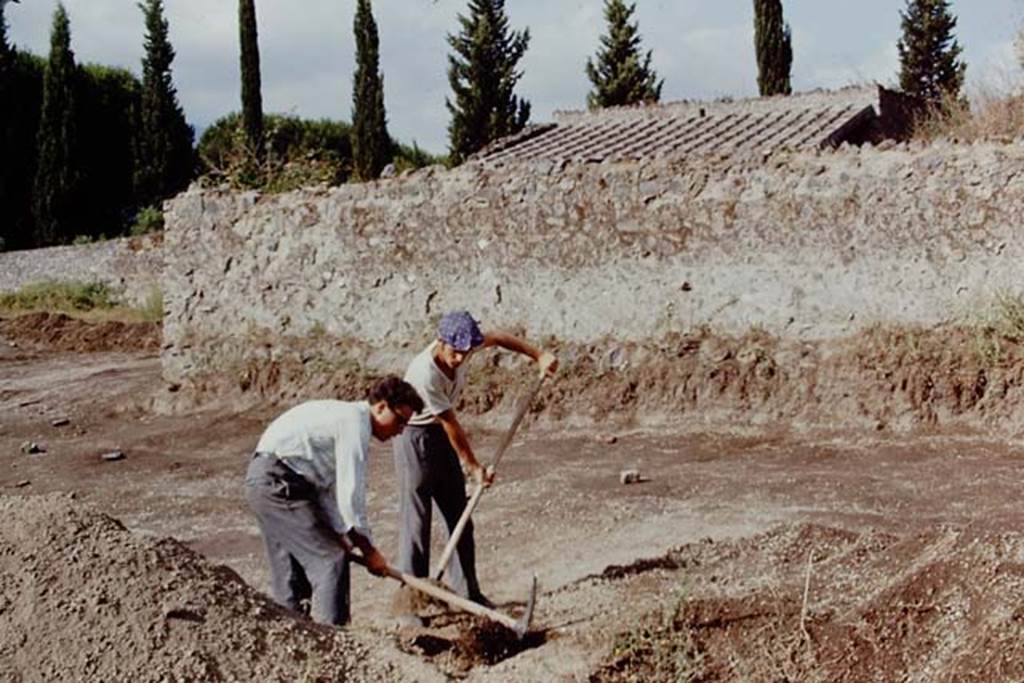 II.5 Pompeii, 1968. Looking south-west at northern end. Photo by Stanley A. Jashemski.
Source: The Wilhelmina and Stanley A. Jashemski archive in the University of Maryland Library, Special Collections (See collection page) and made available under the Creative Commons Attribution-Non Commercial License v.4. See Licence and use details.
J68f0848