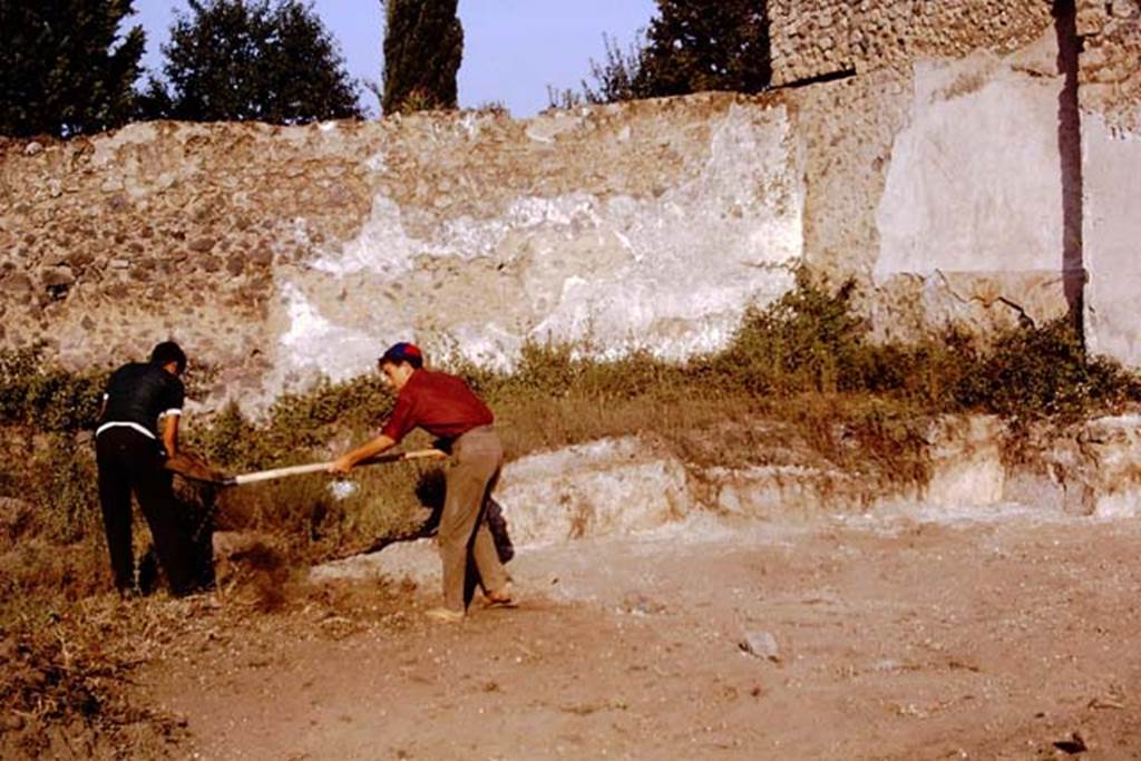 II.5 Pompeii, 1968. Excavating in the north-west corner near the building for the wine-making. Photo by Stanley A. Jashemski.
Source: The Wilhelmina and Stanley A. Jashemski archive in the University of Maryland Library, Special Collections (See collection page) and made available under the Creative Commons Attribution-Non Commercial License v.4. See Licence and use details.
J68f0896
