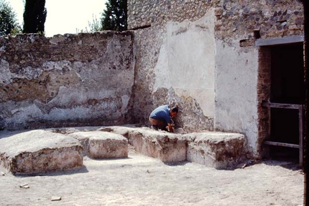 II.5 Pompeii, 1968. “What have I found here”. Photo by Stanley A. Jashemski.
Source: The Wilhelmina and Stanley A. Jashemski archive in the University of Maryland Library, Special Collections (See collection page) and made available under the Creative Commons Attribution-Non Commercial License v.4. See Licence and use details.
J68f0908
