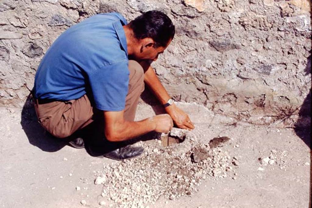 II.5 Pompeii, 1968. Sig. Sicignano makes a discovery. Photo by Stanley A. Jashemski .
Source: The Wilhelmina and Stanley A. Jashemski archive in the University of Maryland Library, Special Collections (See collection page) and made available under the Creative Commons Attribution-Non Commercial License v.4. See Licence and use details.
J68f0902