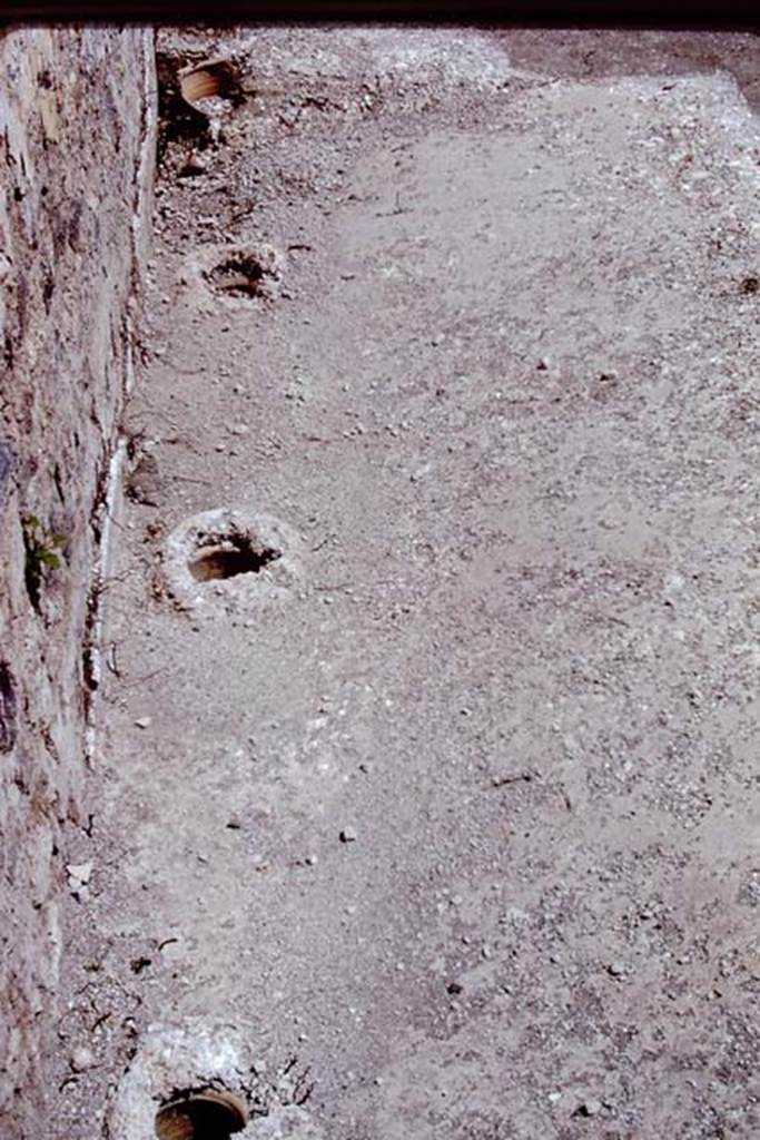 ll.5 Pompeii, 1968. Looking east along rear of triclinium with line of buried amphorae. Photo by Stanley A. Jashemski.
Source: The Wilhelmina and Stanley A. Jashemski archive in the University of Maryland Library, Special Collections (See collection page) and made available under the Creative Commons Attribution-Non Commercial License v.4. See Licence and use details.
J68f1937