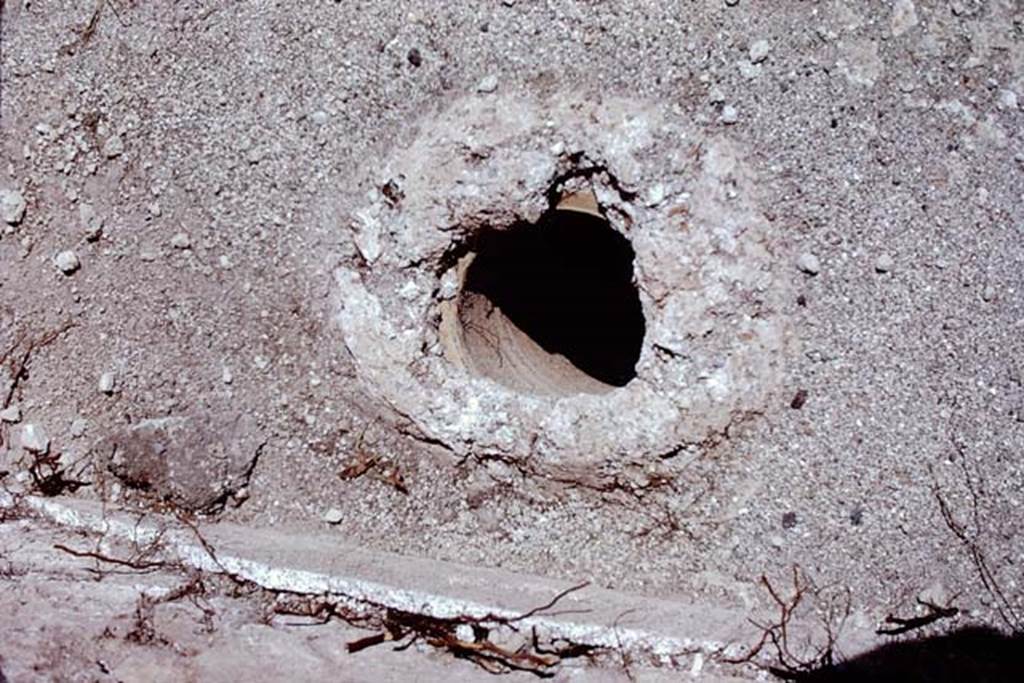 ll.5 Pompeii, 1968. A buried amphorae, probably used to stabilise the awning over the triclinium. Photo by Stanley A. Jashemski.
Source: The Wilhelmina and Stanley A. Jashemski archive in the University of Maryland Library, Special Collections (See collection page) and made available under the Creative Commons Attribution-Non Commercial License v.4. See Licence and use details.
J68f1938