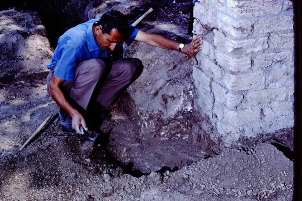 ll.5 Pompeii, 1968. Sig. Sicignano excavating near the entrance gateway on the south side. Photo by Stanley A. Jashemski.
Source: The Wilhelmina and Stanley A. Jashemski archive in the University of Maryland Library, Special Collections (See collection page) and made available under the Creative Commons Attribution-Non Commercial License v.4. See Licence and use details.
J68f1270