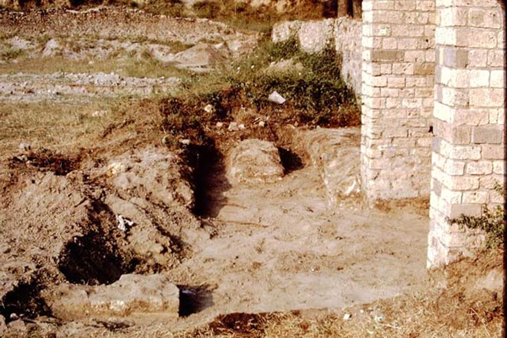 II.5 Pompeii, 1968. Looking east across second triclinium, found near entrance gateway on southern boundary. Photo by Stanley A. Jashemski.
Source: The Wilhelmina and Stanley A. Jashemski archive in the University of Maryland Library, Special Collections (See collection page) and made available under the Creative Commons Attribution-Non Commercial License v.4. See Licence and use details.
J68f1304