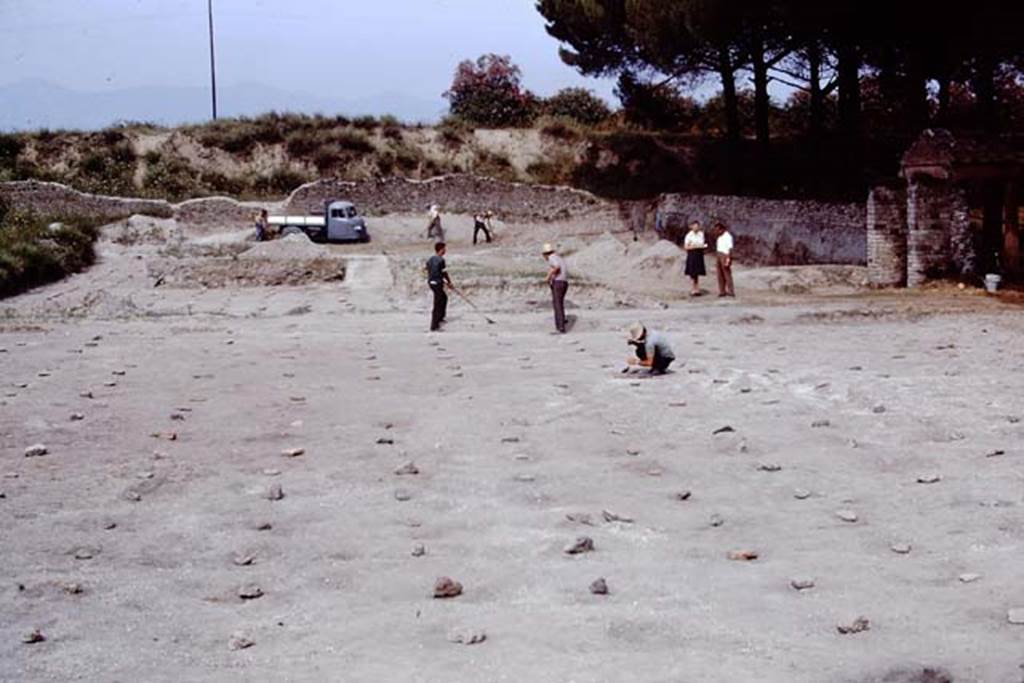 II.5 Pompeii, 1968. Looking east. Photo by Stanley A. Jashemski.
Source: The Wilhelmina and Stanley A. Jashemski archive in the University of Maryland Library, Special Collections (See collection page) and made available under the Creative Commons Attribution-Non Commercial License v.4. See Licence and use details.
J68f1628