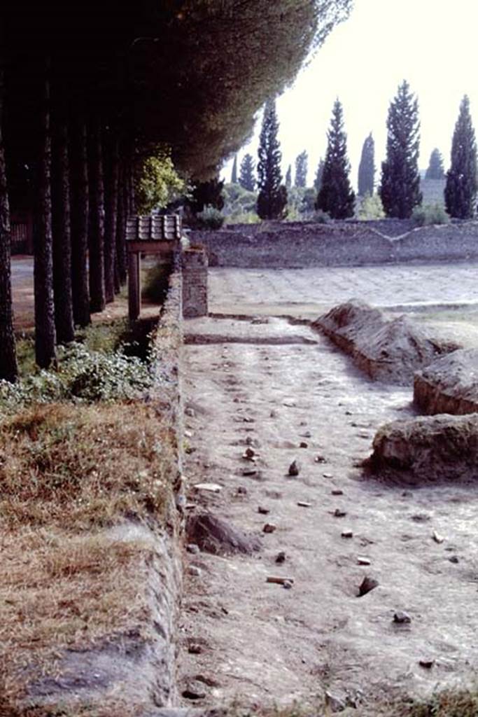 ll.5 Pompeii, 1968. Looking west along southern boundary. Photo by Stanley A. Jashemski.
Source: The Wilhelmina and Stanley A. Jashemski archive in the University of Maryland Library, Special Collections (See collection page) and made available under the Creative Commons Attribution-Non Commercial License v.4. See Licence and use details.
J68f1631