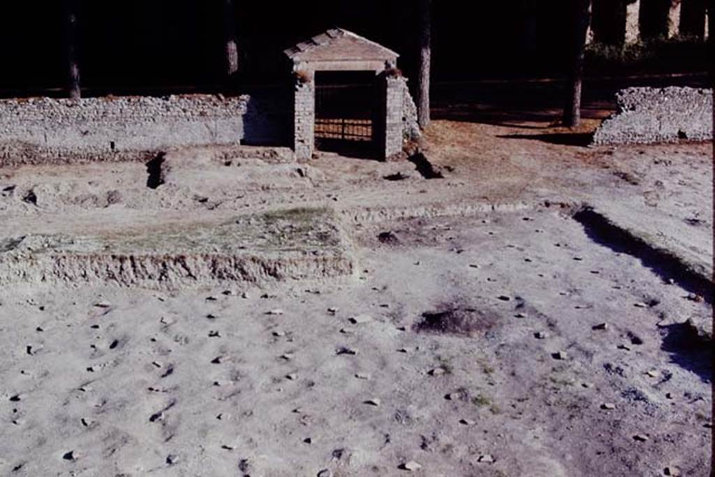 ll.5 Pompeii, 1968. Looking south across site towards entrance gateway. Photo by Stanley A. Jashemski.
Source: The Wilhelmina and Stanley A. Jashemski archive in the University of Maryland Library, Special Collections (See collection page) and made available under the Creative Commons Attribution-Non Commercial License v.4. See Licence and use details.
J68f1648