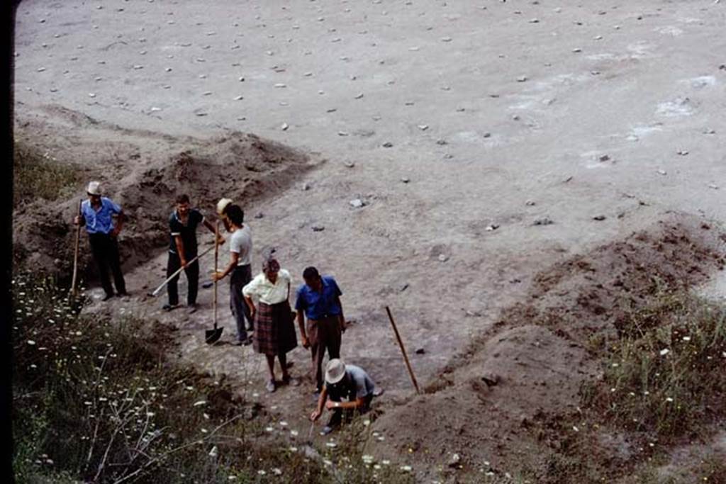ll.5 Pompeii, 1968. Excavation in north-east corner near the unexcavated mound, looking south-west. Photo by Stanley A. Jashemski.
Source: The Wilhelmina and Stanley A. Jashemski archive in the University of Maryland Library, Special Collections (See collection page) and made available under the Creative Commons Attribution-Non Commercial License v.4. See Licence and use details.
J68f1633