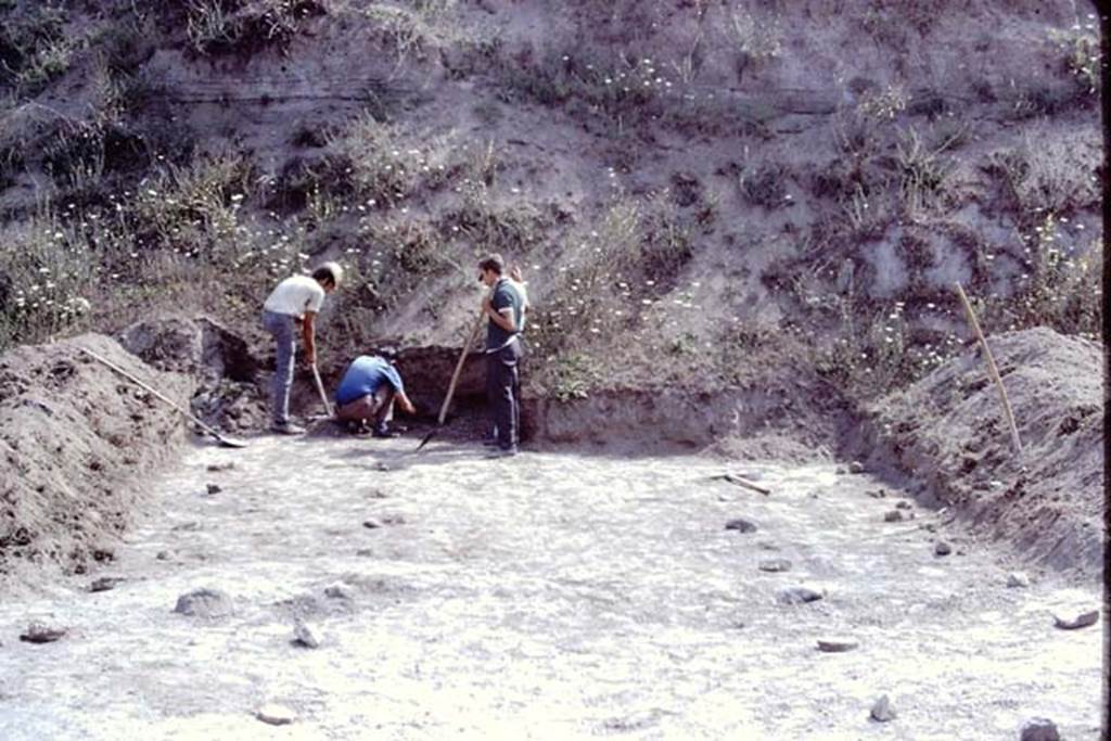 ll.5 Pompeii, 1968. Excavation in north-east corner, looking north. Photo by Stanley A. Jashemski.
Source: The Wilhelmina and Stanley A. Jashemski archive in the University of Maryland Library, Special Collections (See collection page) and made available under the Creative Commons Attribution-Non Commercial License v.4. See Licence and use details.
J68f1637