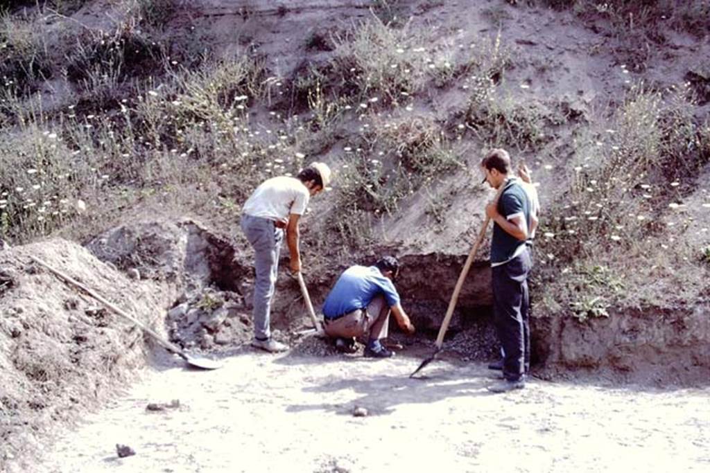 ll.5 Pompeii, 1968. Excavation in north-east corner, looking north. Photo by Stanley A. Jashemski.
Source: The Wilhelmina and Stanley A. Jashemski archive in the University of Maryland Library, Special Collections (See collection page) and made available under the Creative Commons Attribution-Non Commercial License v.4. See Licence and use details.
J68f1636