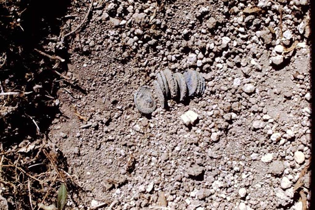 ll.5 Pompeii, 1968. 11 coins emerging from the lapilli. Photo by Stanley A. Jashemski.
Source: The Wilhelmina and Stanley A. Jashemski archive in the University of Maryland Library, Special Collections (See collection page) and made available under the Creative Commons Attribution-Non Commercial License v.4. See Licence and use details.
J68f1682