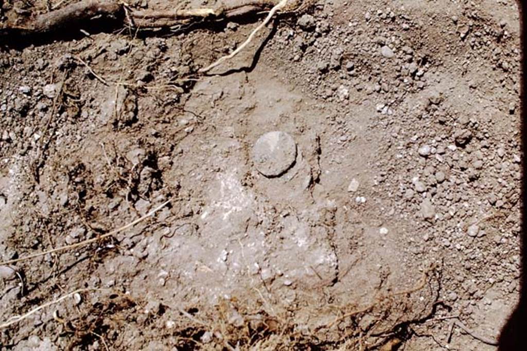 ll.5 Pompeii, 1968. Another coin found near north side of site. Photo by Stanley A. Jashemski.
Source: The Wilhelmina and Stanley A. Jashemski archive in the University of Maryland Library, Special Collections (See collection page) and made available under the Creative Commons Attribution-Non Commercial License v.4. See Licence and use details.
J68f1684