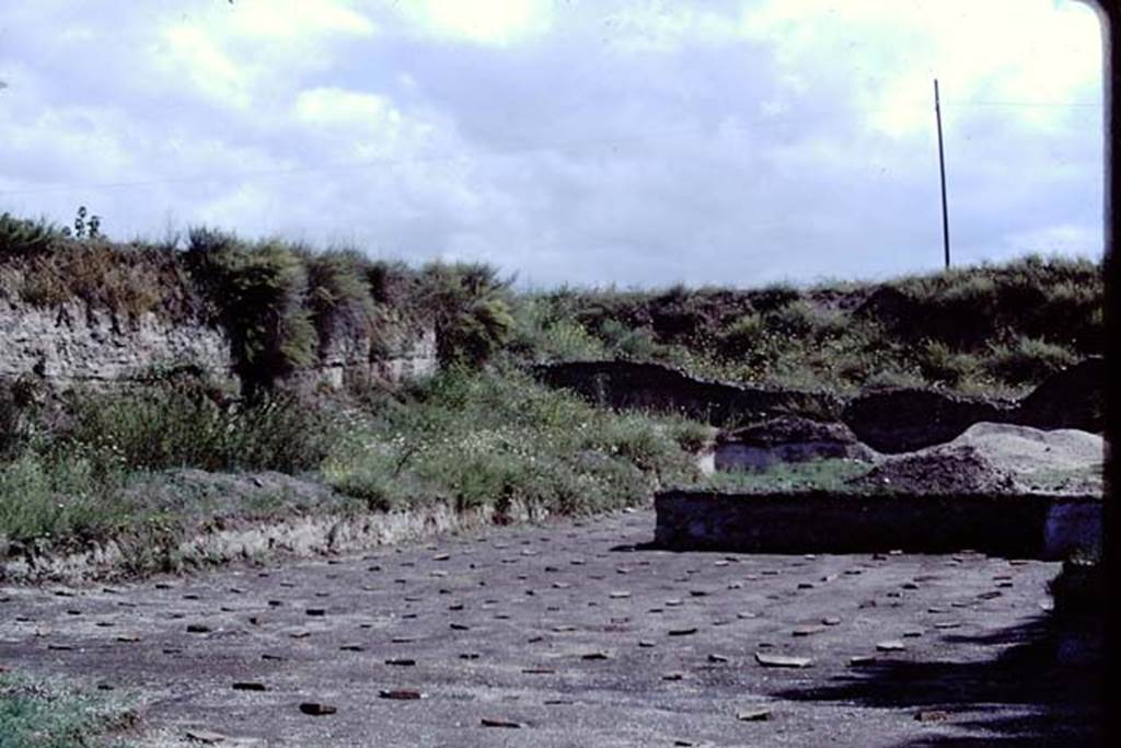 ll.5 Pompeii, 1968. Looking north-east. Photo by Stanley A. Jashemski.
Source: The Wilhelmina and Stanley A. Jashemski archive in the University of Maryland Library, Special Collections (See collection page) and made available under the Creative Commons Attribution-Non Commercial License v.4. See Licence and use details.
J68f2020