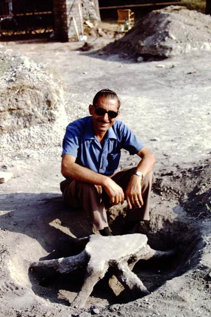 ll.5 Pompeii, 1968. Sig. Sicignano with cast of large tree-root. Photo by Stanley A. Jashemski.
Source: The Wilhelmina and Stanley A. Jashemski archive in the University of Maryland Library, Special Collections (See collection page) and made available under the Creative Commons Attribution-Non Commercial License v.4. See Licence and use details.
J68f1738